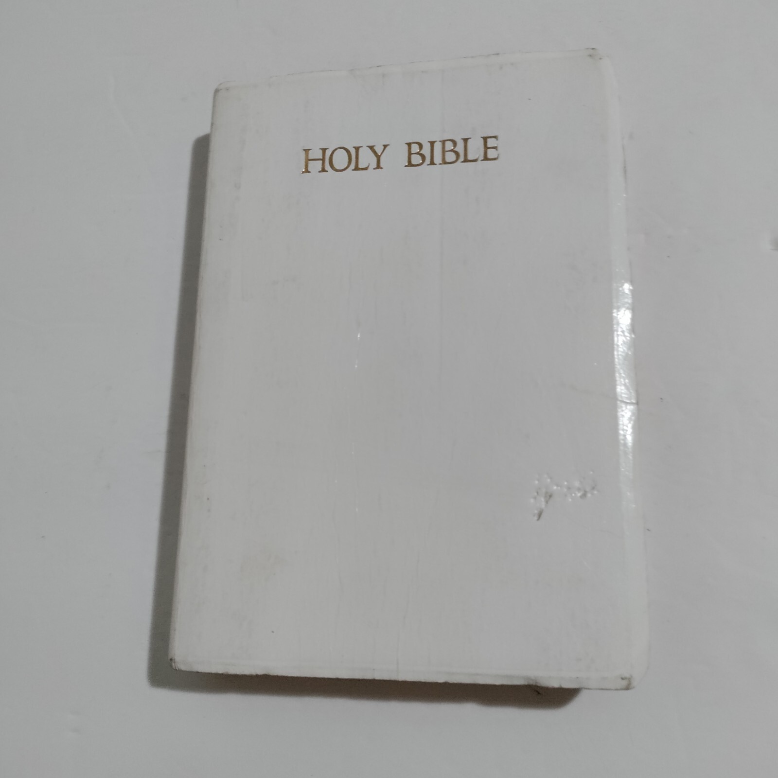 Holy Bible Dictionary Concordance Red Letter Edition King James KJV Nelson 1977