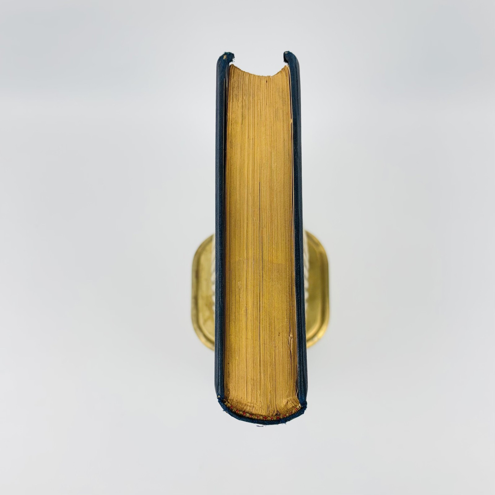 Life of Saint Aloysius Gonzaga 1591 – 1891 Cepari 1891 First Edition Gilt Edges