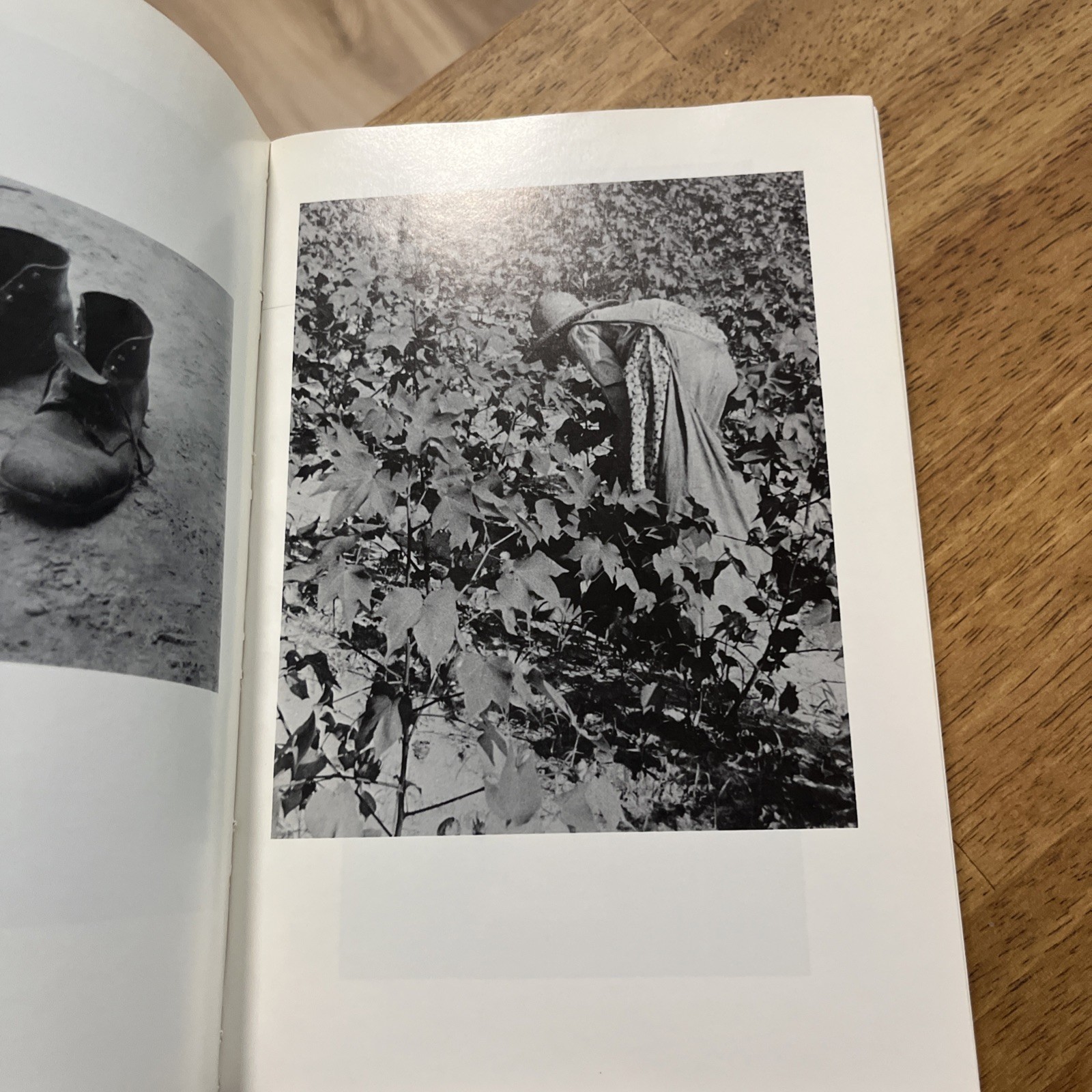 Let Us Now Praise Famous Men J. Agee and Walker Evans 1969, Rare Edition