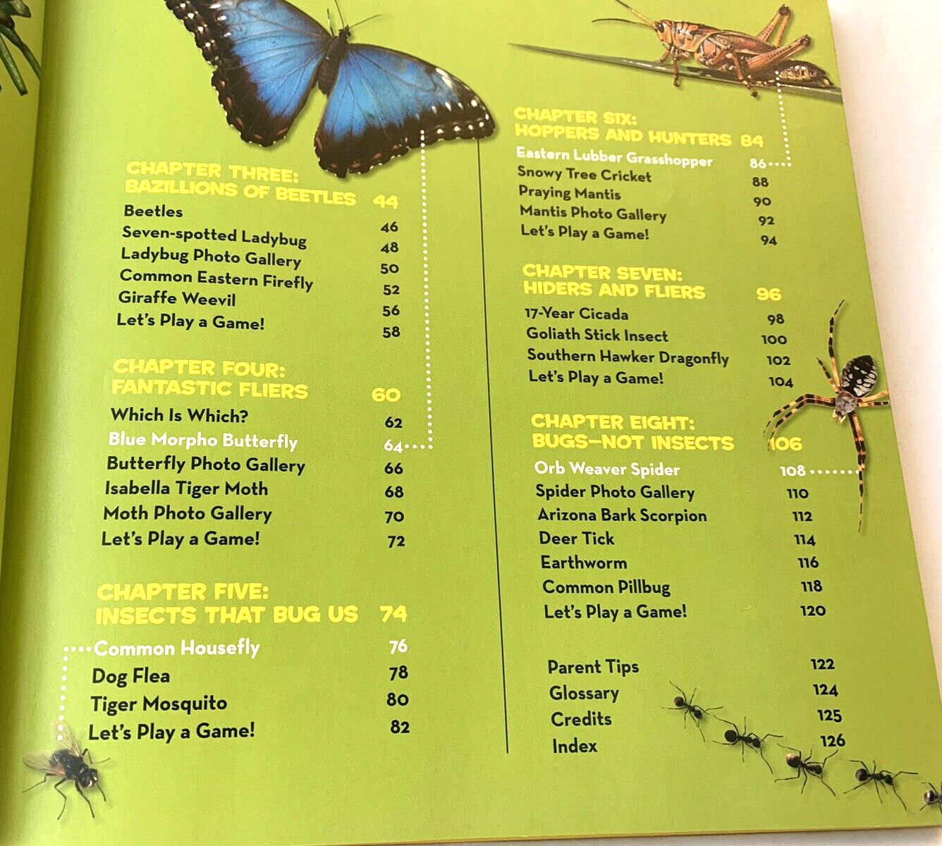 Big Book of Bugs From National Geographic by Catherine D. Hughes…