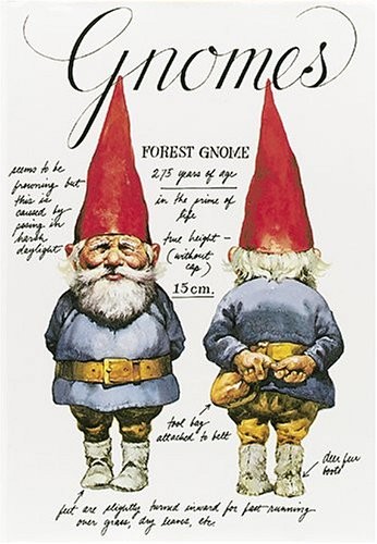Gnomes, Huygen, Wil