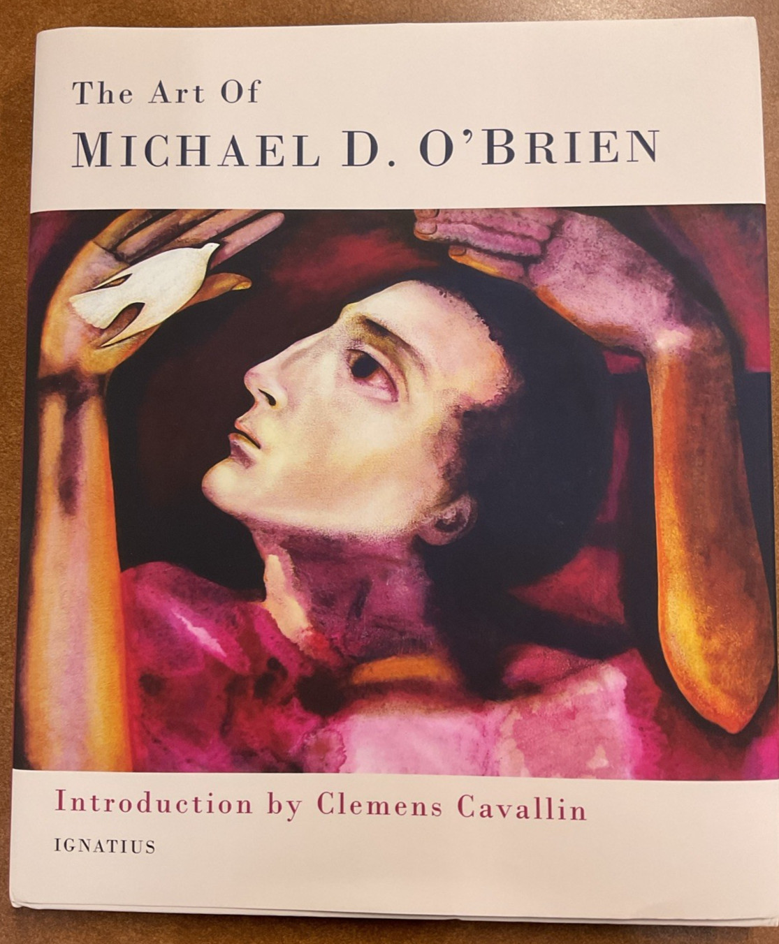 Art of Michael D O’Brien HC DJ 2019 Ignatius Press Sacred Works