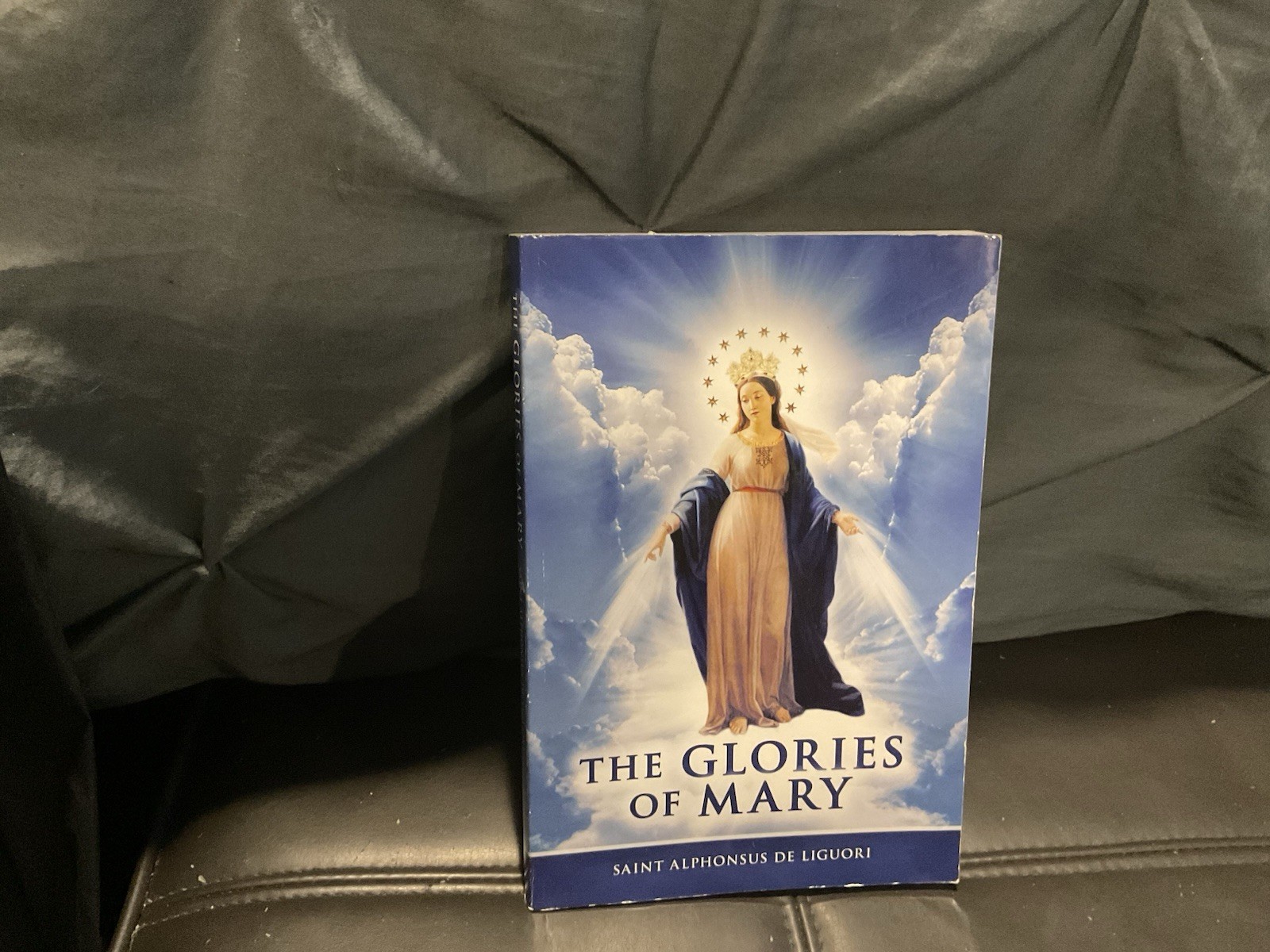 Glories of Mary : A New Translation