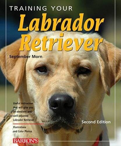 Training Your Labrador Retriever (Training Your Dog Series) – Paperback – GOOD