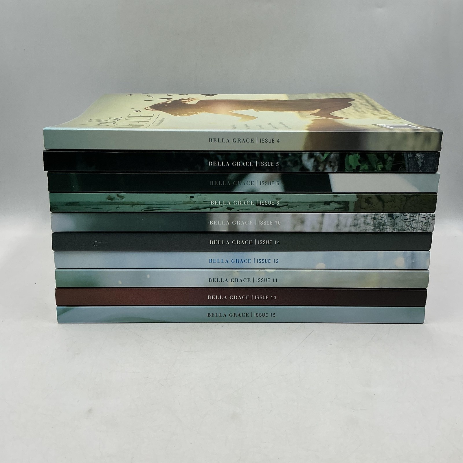 Bella Grace Life’s A Beautiful Journey Issues 10 Set Christen Hammons PB