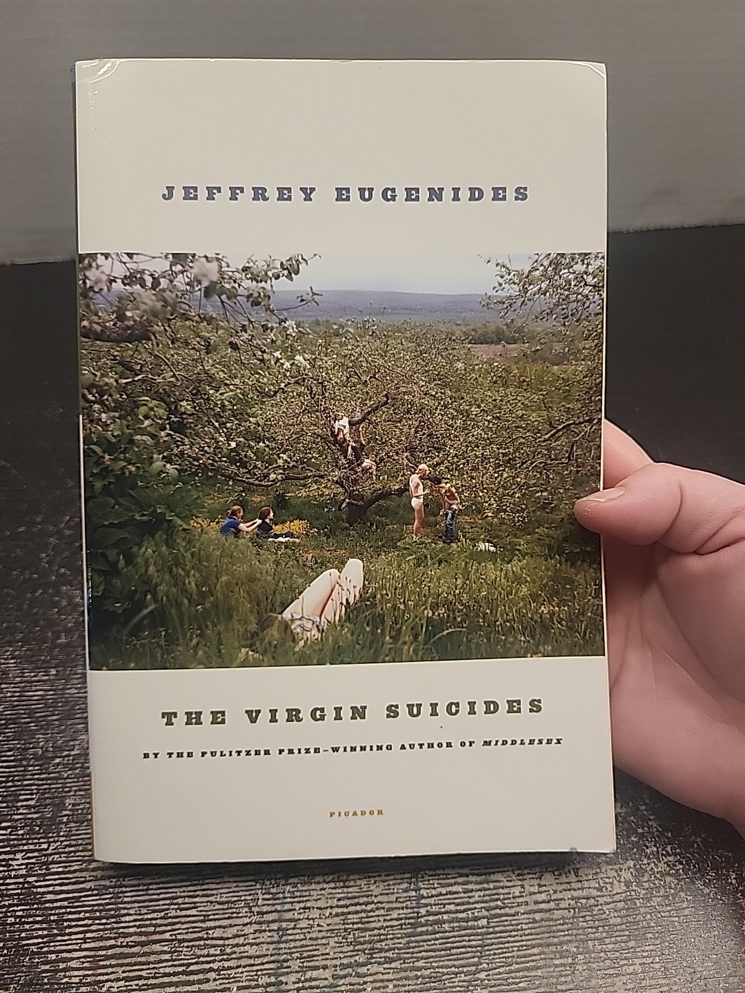 The Virgin Suicides A Novel Picador Modern Classics Read Description