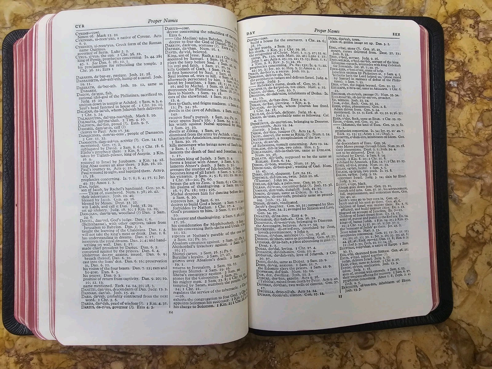 KJV Scofield Reference Bible Marrakesh Persian Morocco Leather VERY GOOD L@@K🌟