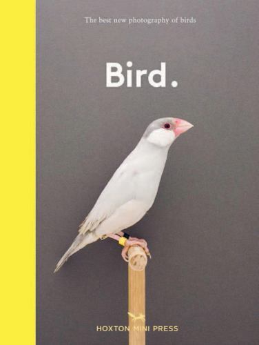 New photography of the Bird by Padly, Gemma, hardcover, Used – Very Good
