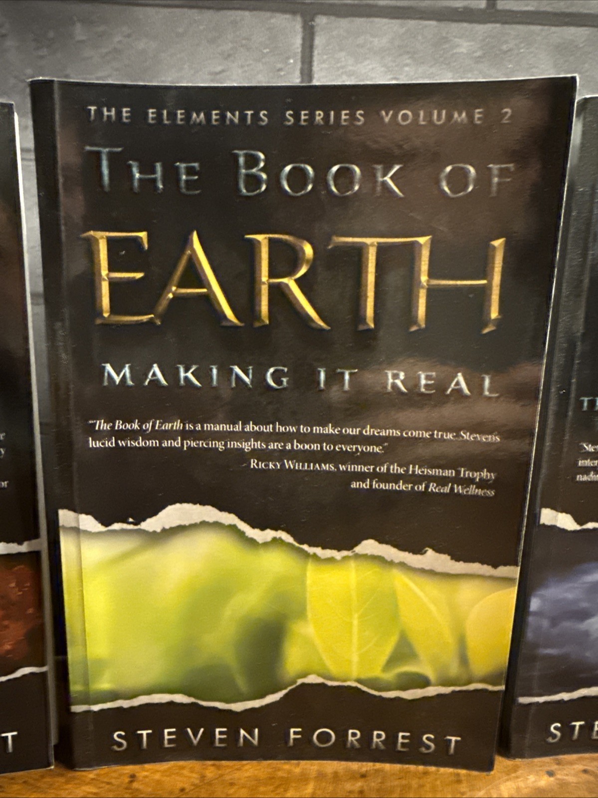 THE ELEMENTS SERIES by Steven Forrest~Vol. 1-4 Book of Fire, Earth, Air & Water