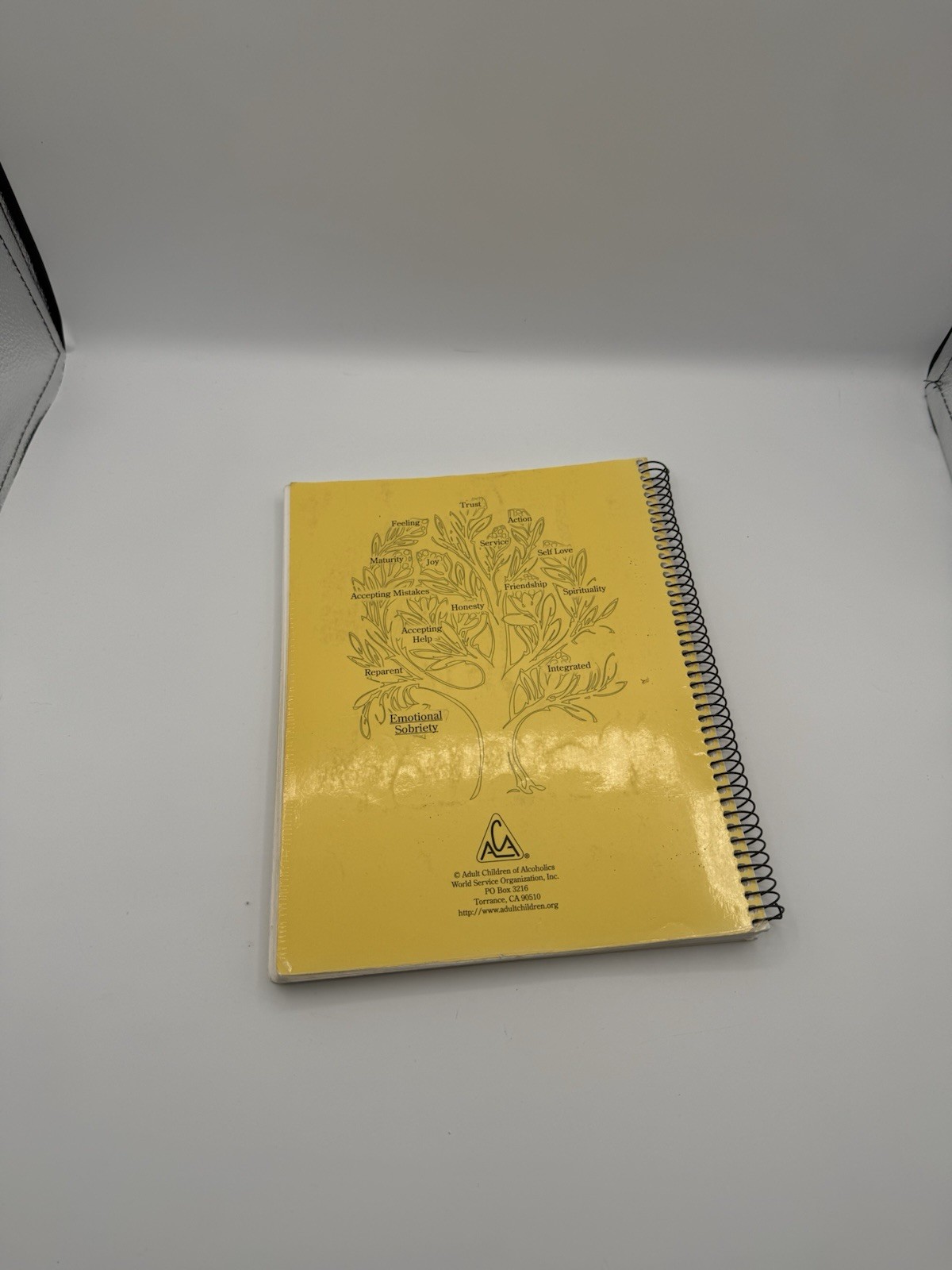 TWELVE STEPS OF ADULT CHILDREN STEPS WORKBOOK By Adult Children Of Alcoholics