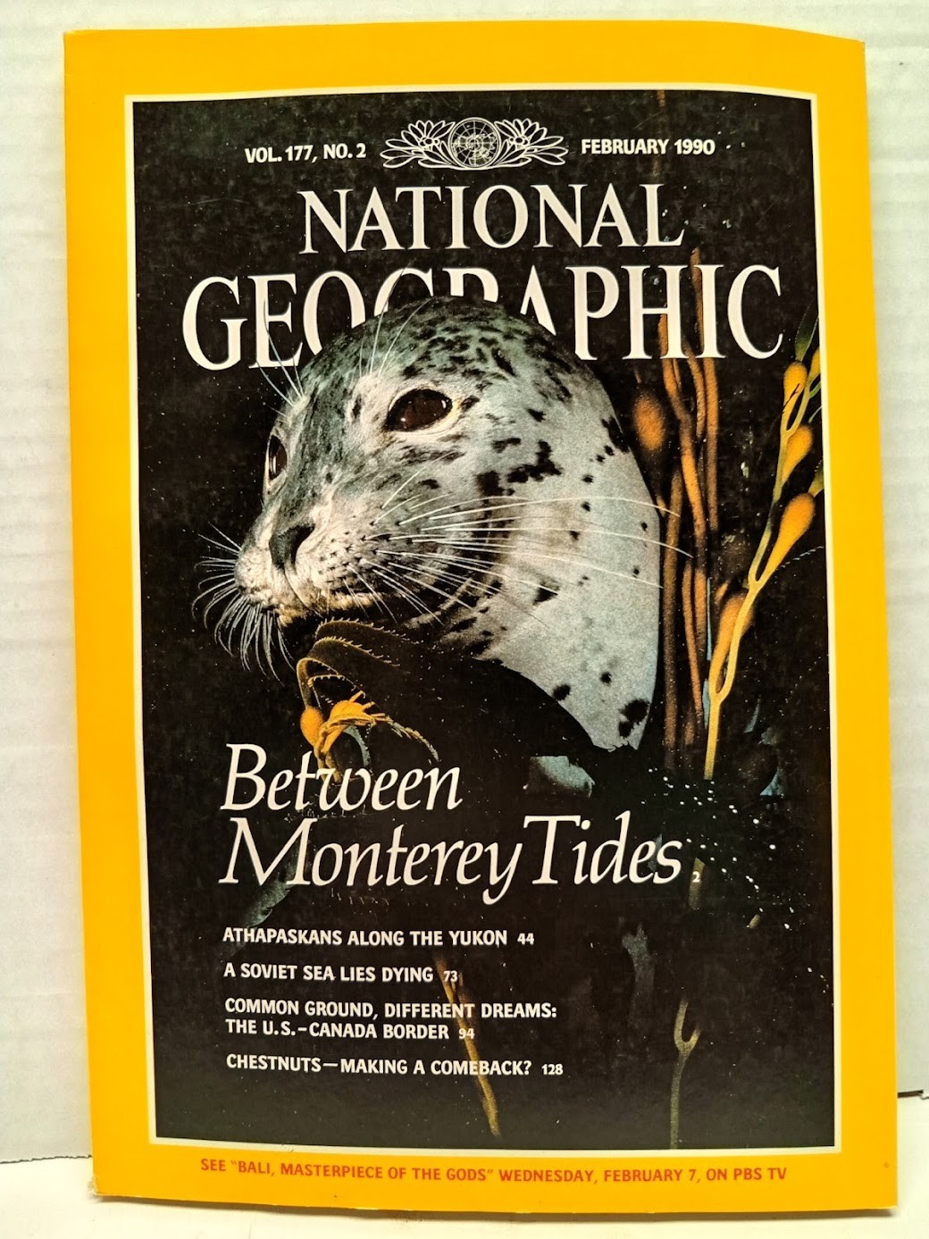 NATIONAL GEOGRAPHIC V177 NO2 FEB1990 B62