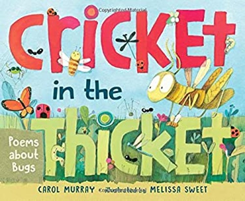 Cricket in the Thicket : Poems about Bugs Picture Book Carol Murr