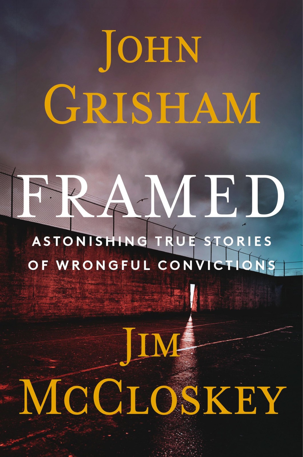 Framed: Astonishing True Stories of Wrongful Convictions – hardcover McClosk…