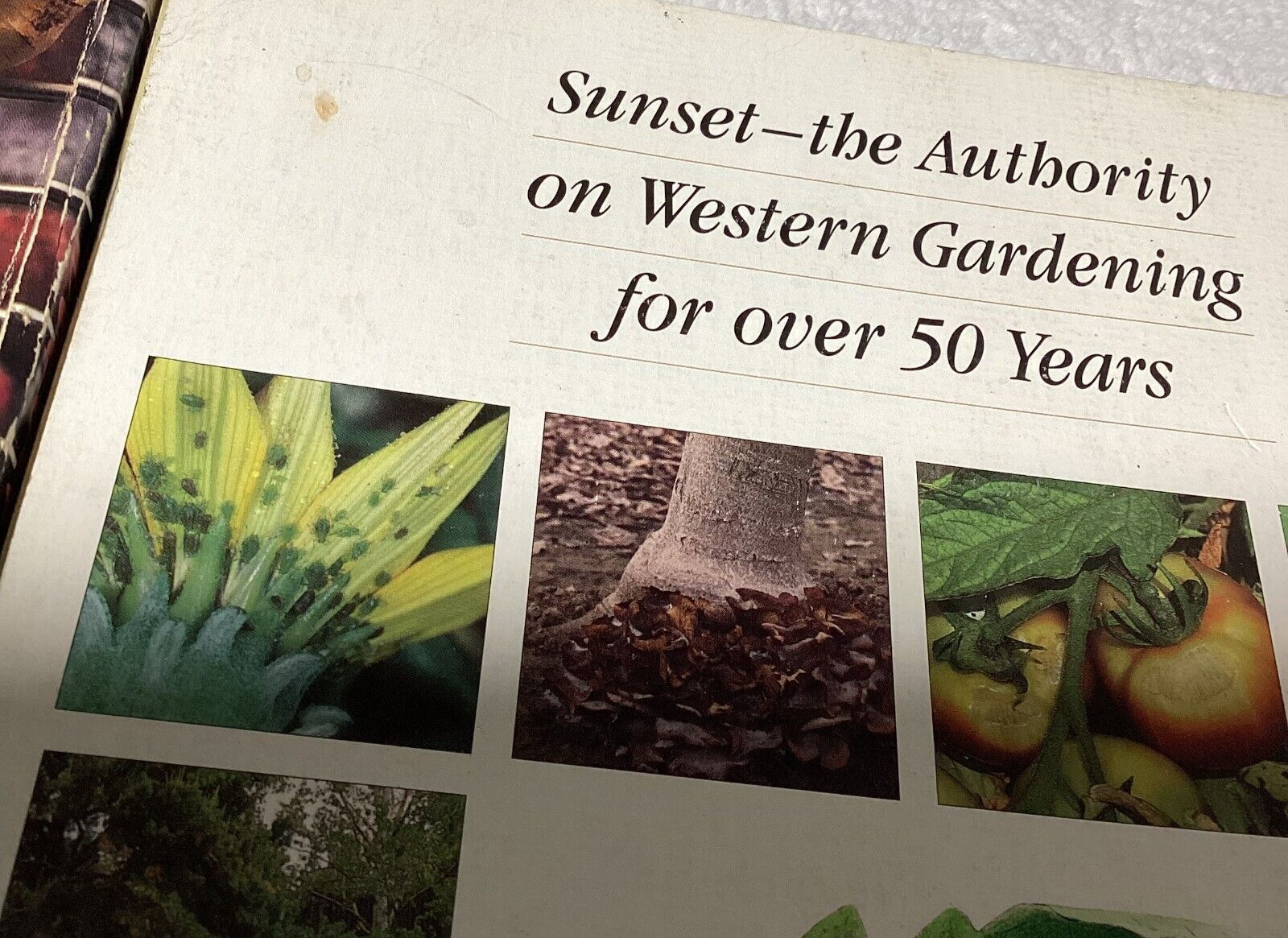 Sunset: The Ultimate Grill Book-Western Garden Problem Solver, HC/PB, 2 Books