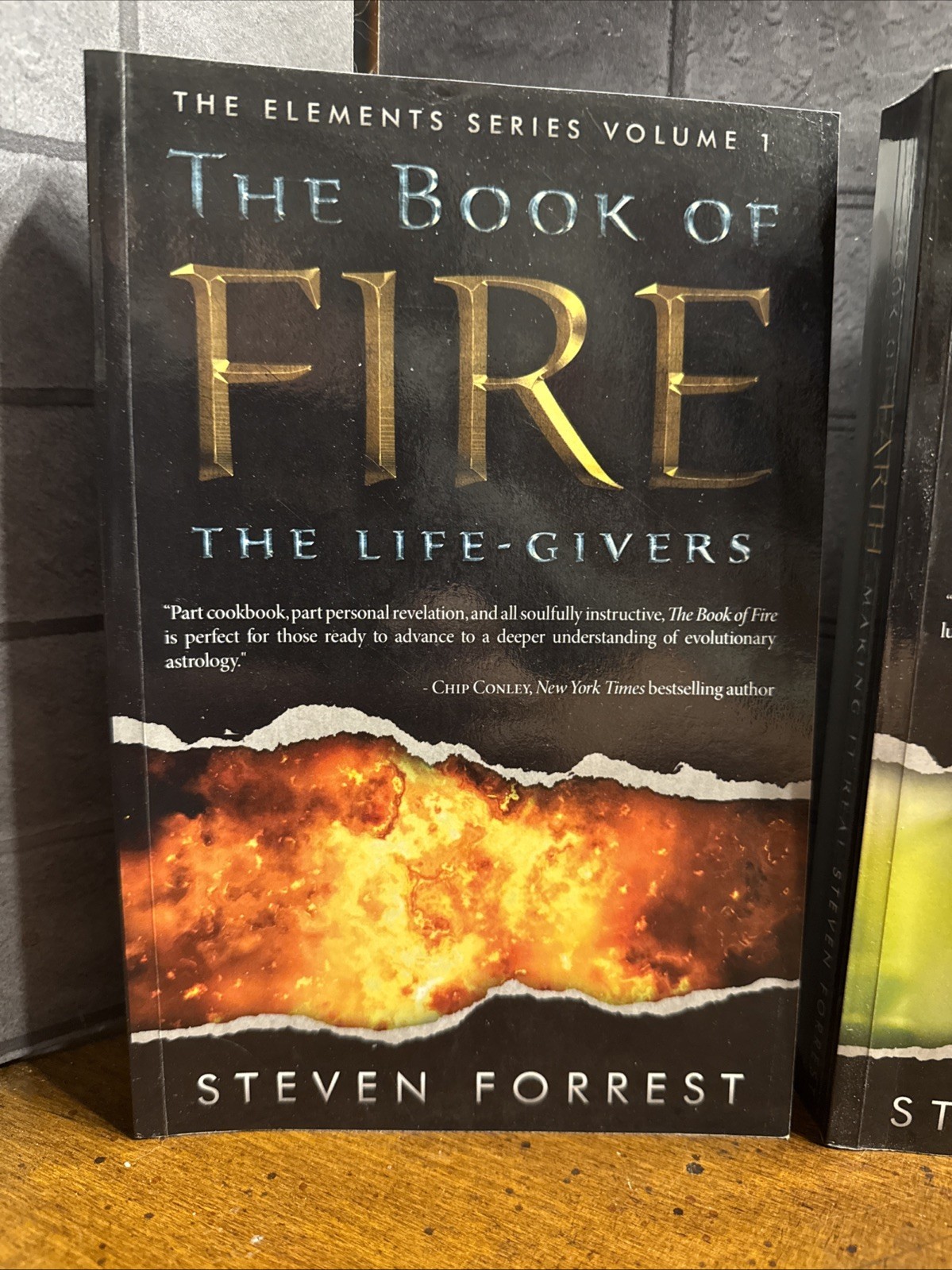 THE ELEMENTS SERIES by Steven Forrest~Vol. 1-4 Book of Fire, Earth, Air & Water