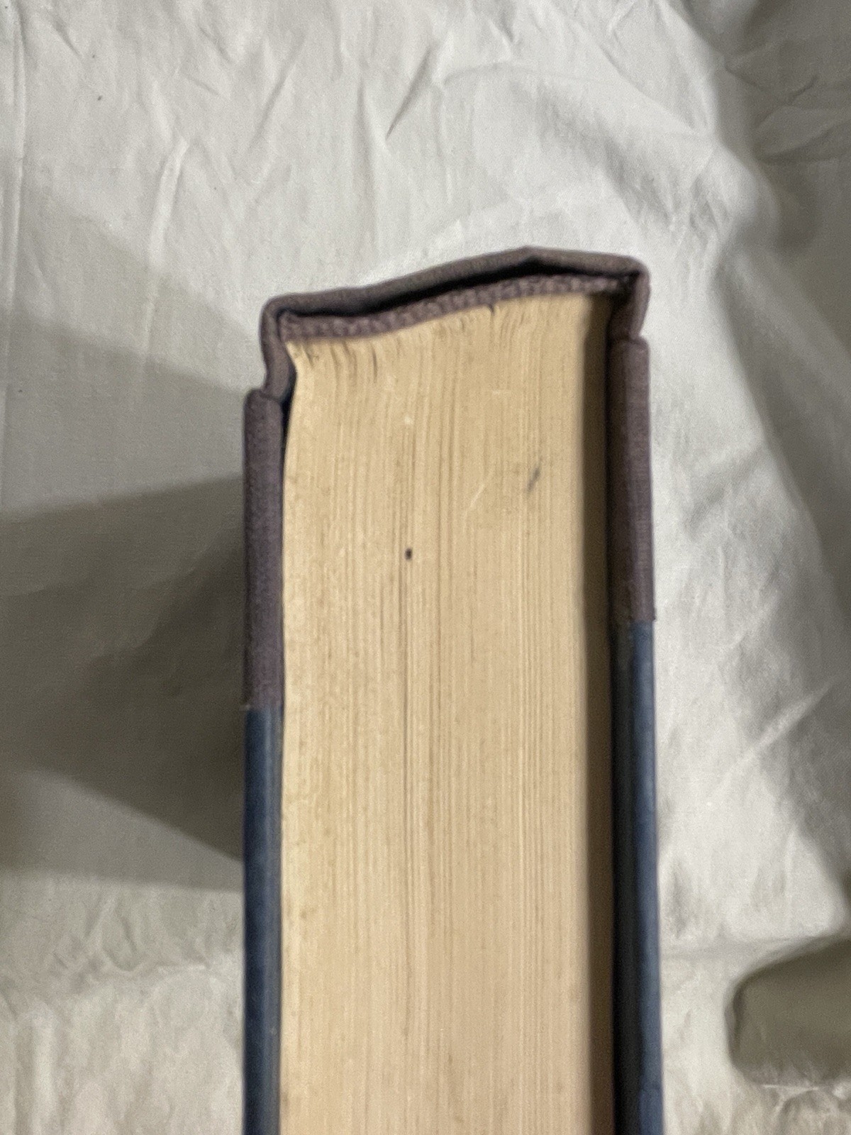The White Plague – first edition, first printing – Frank Herbert 1982
