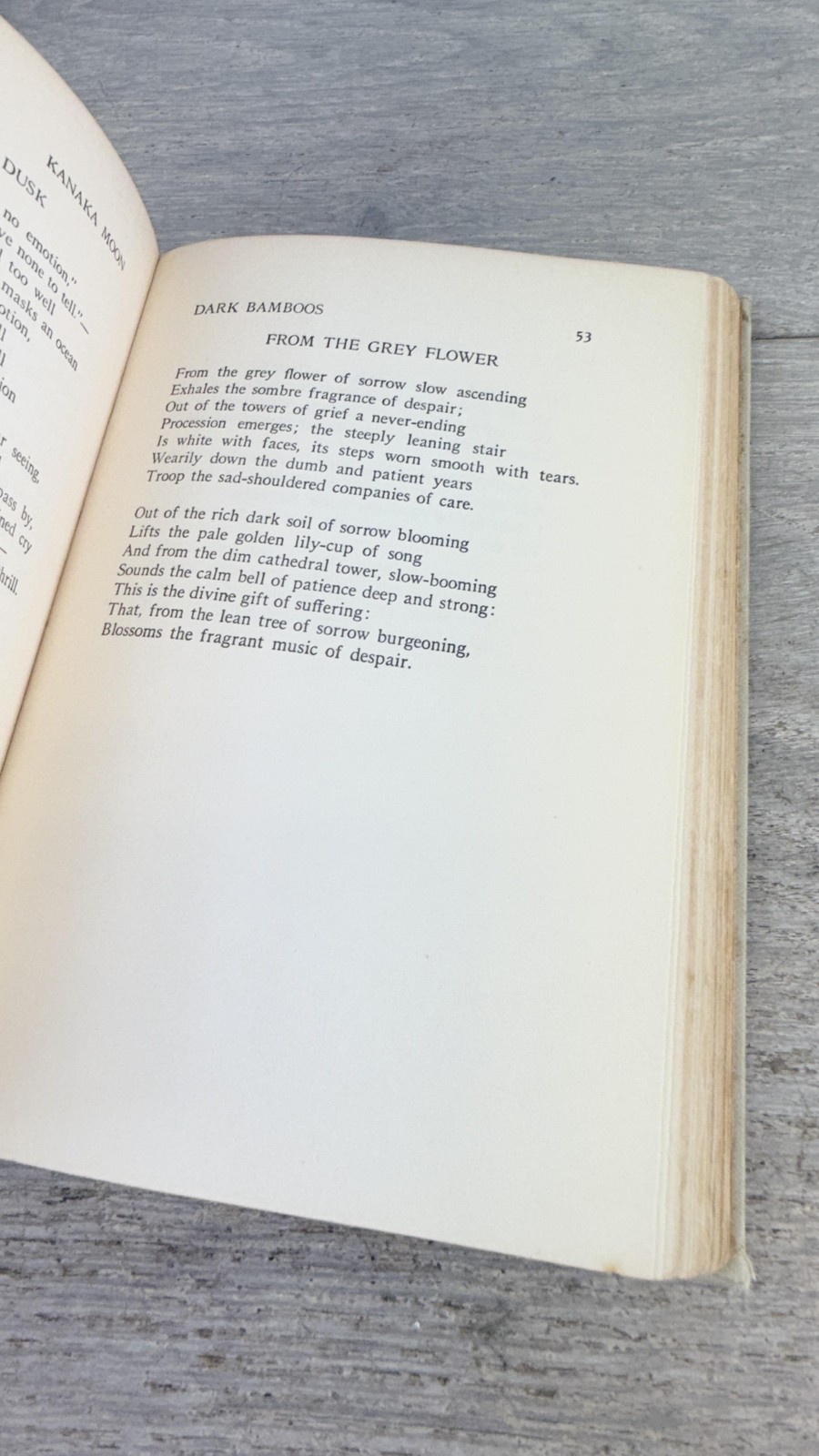 Vintage 1927 Kanaka Moon Clifford Gessler 1st Ed Dodd Mead Poetry Illustrated HC