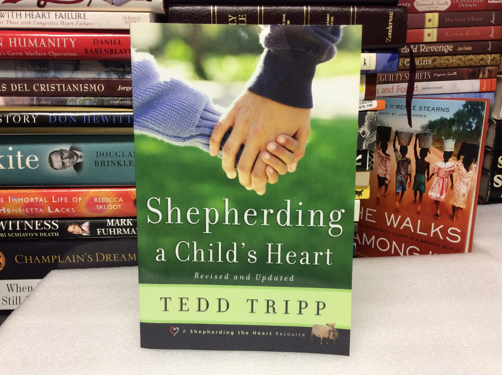 Shepherding a Child’s Heart by Theodore A. Tripp (2005 Paperback ) VG