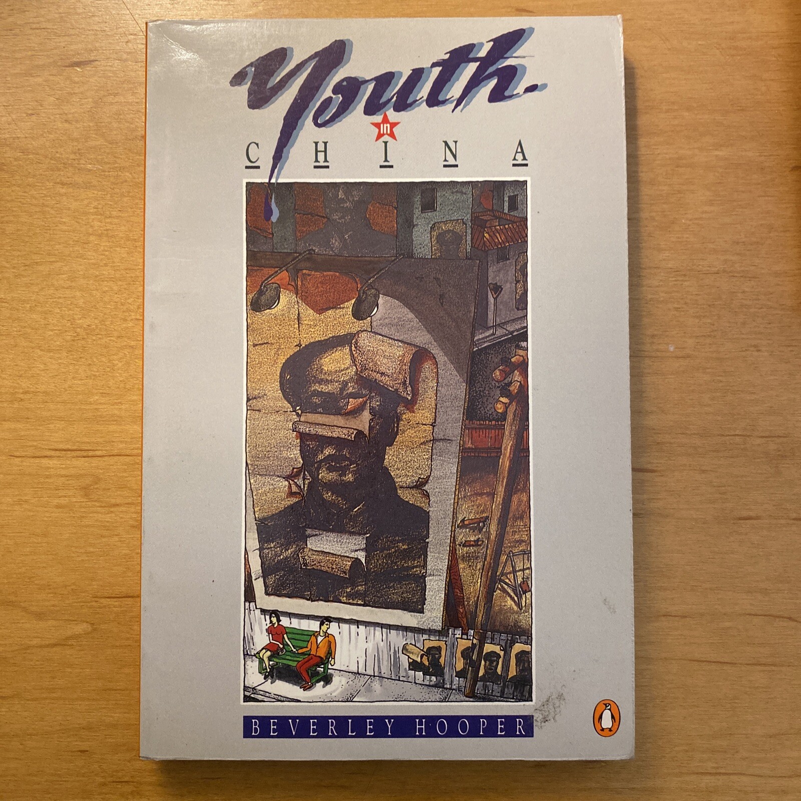 Youth in China by Beverley Hooper (1986, UK-B Format Paperback)