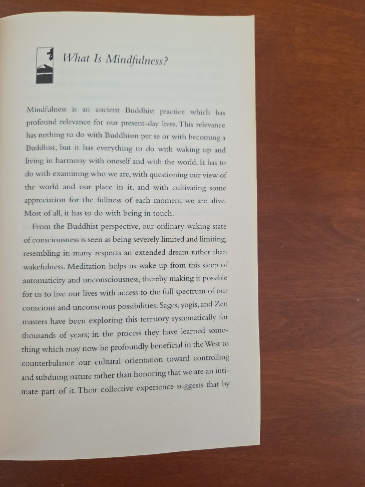 Wherever You Go, There You Are by Jon Kabat-Zinn – Paperback