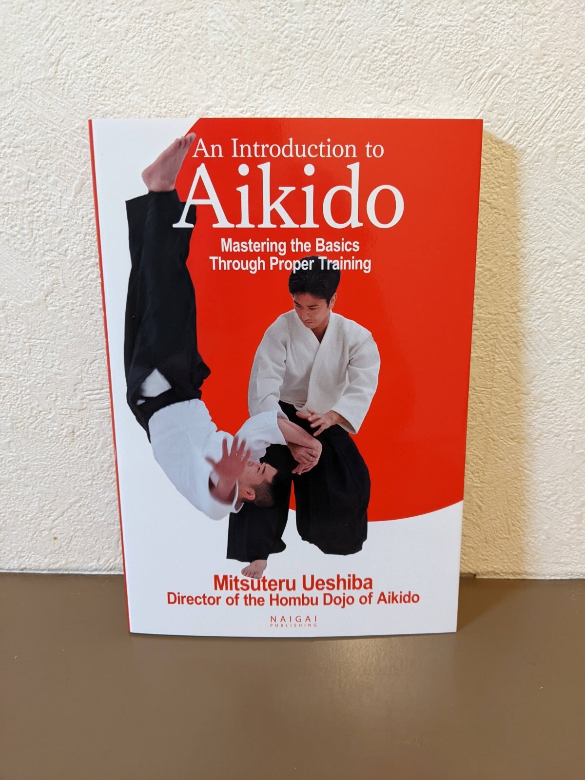 An Introduction to Aikido Mastering the Basics Through Proper Training Book
