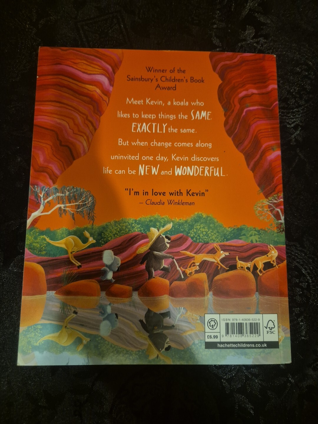 THE KOALA WHO COULD BOOK BY RACHEL BRIGHT 17CM X 21CM (PICTURE BOOK) 2020