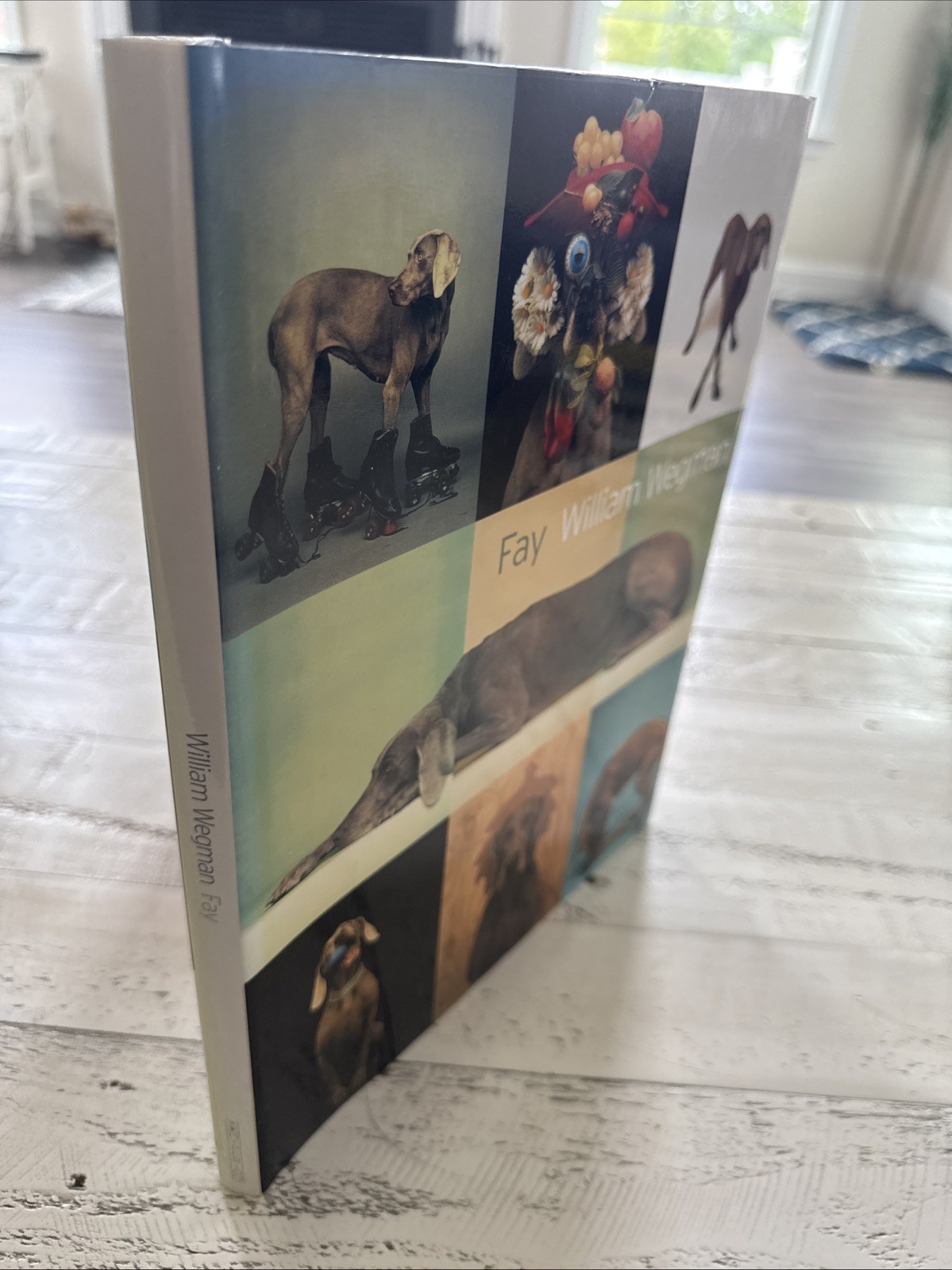 Fay William Wegman Signed HC DJ Hyperion Dog Photography Art Photo Book 1999