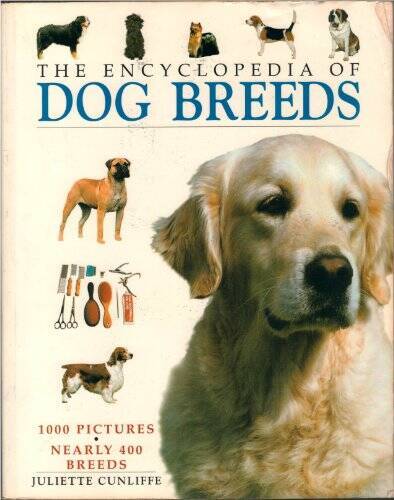 The Encyclopedia of Dog Breeds – Paperback By Juliette Cunliffe – GOOD