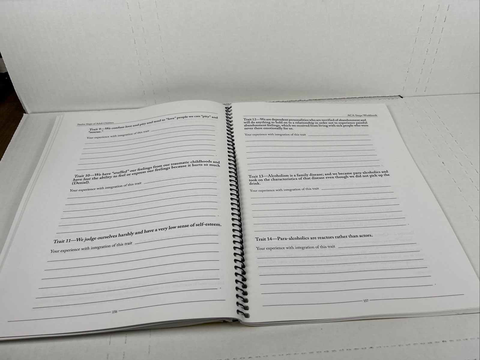 Twelve Steps of Adult Children Steps Workbook Spiral-Bound, 2007 FREE SHIPPING