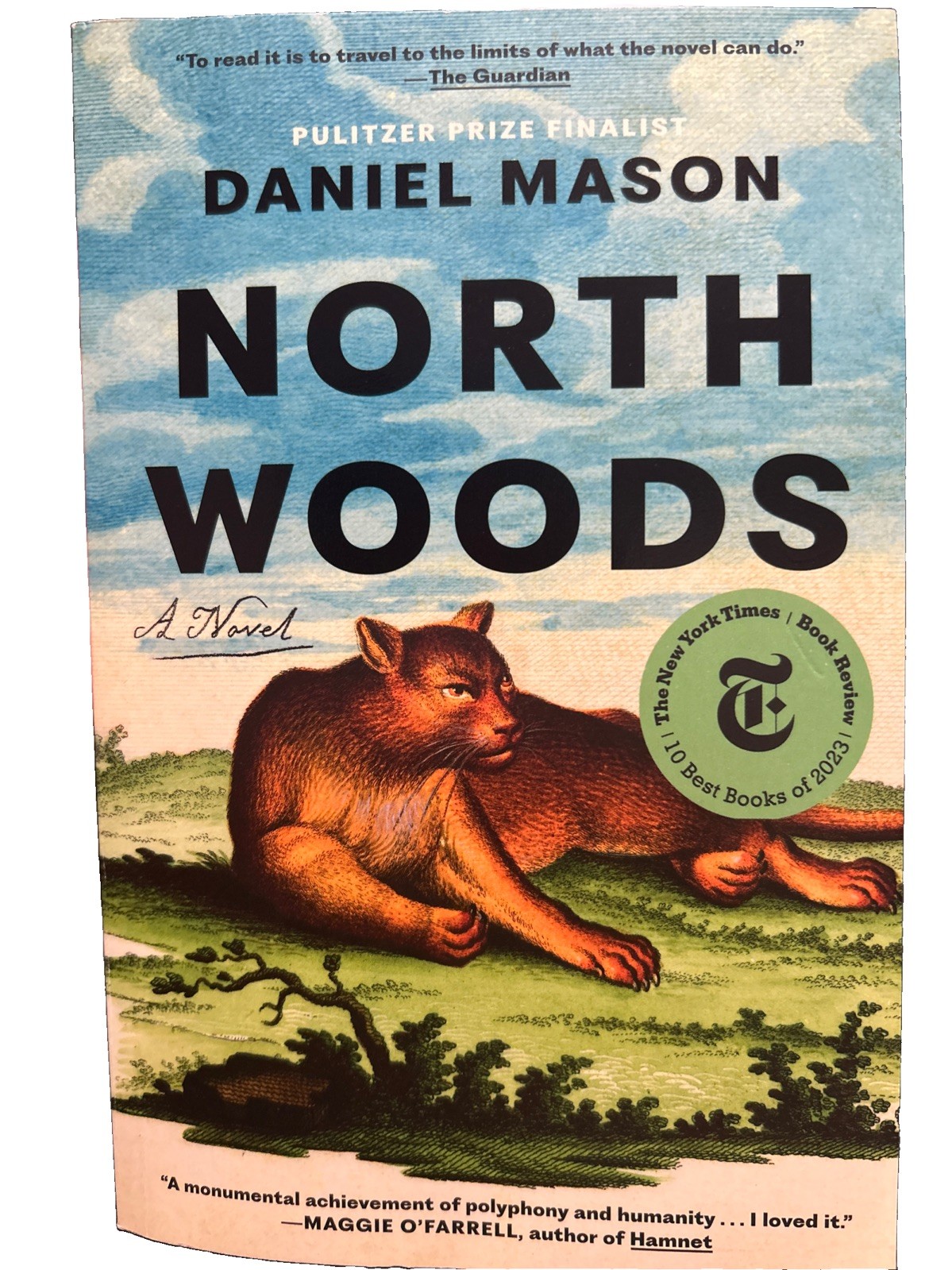 North Woods : A Novel by Daniel Mason (2024, Trade Paperback)