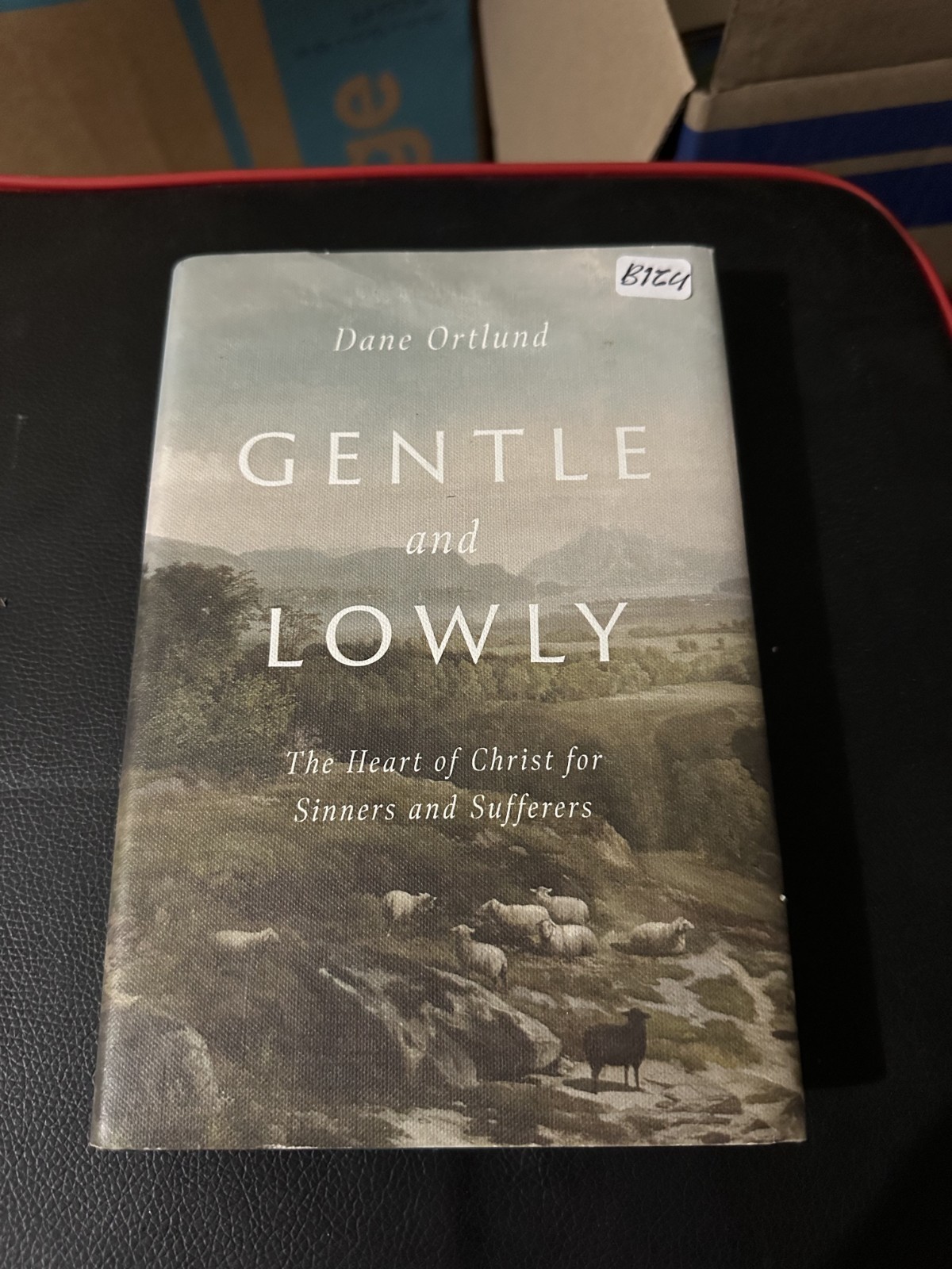 Gentle and Lowly – Dane Ortlund