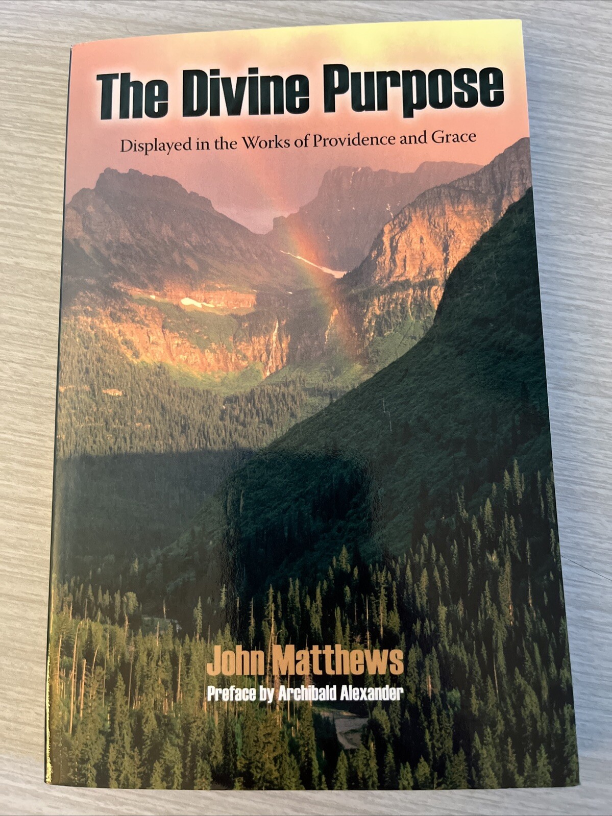 The Divine Purpose by John Matthews, John, UNREAD; FREE Shipping!