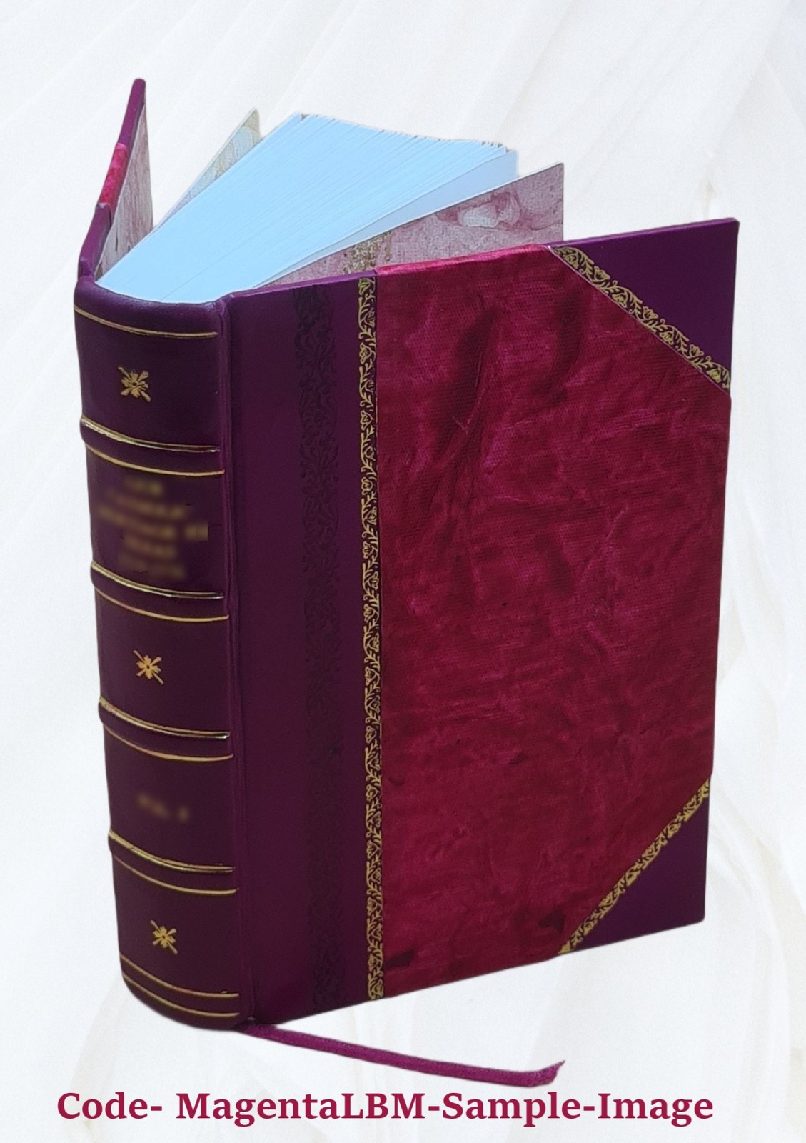 The principles of psychology: in two volumes. 1 1890 by James, W [Leather Bound]
