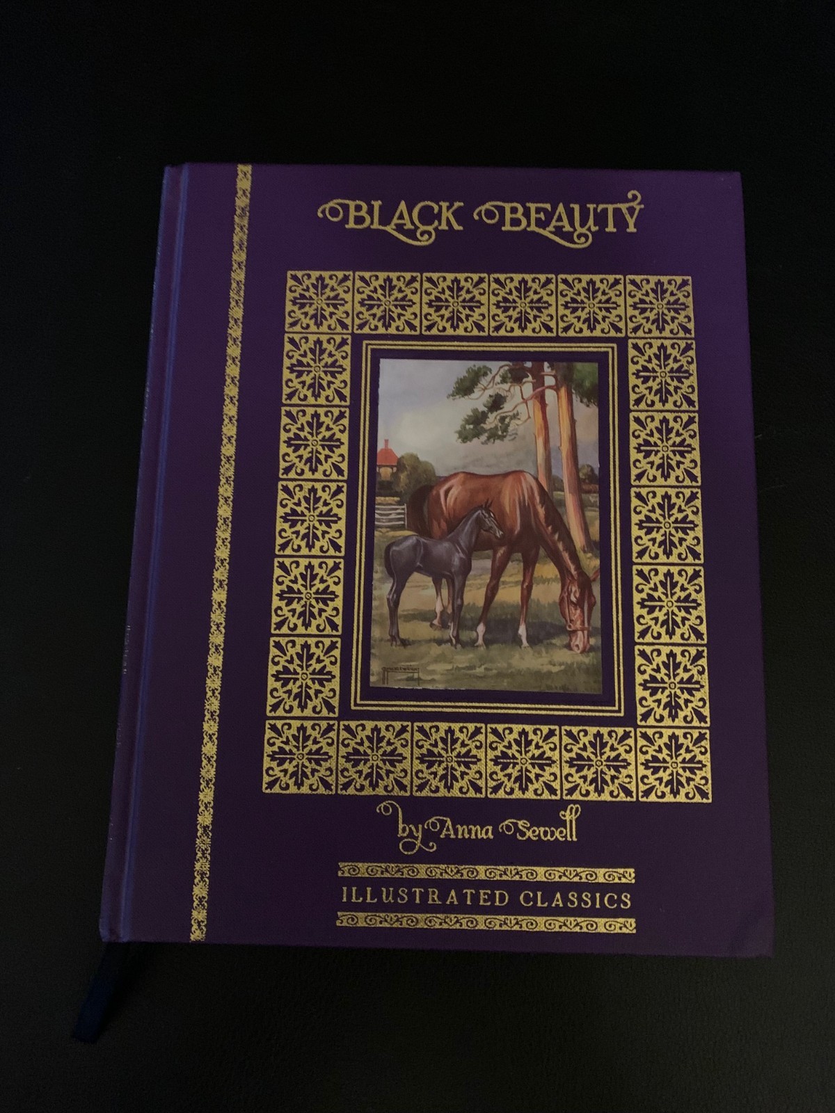 Black Beauty by Anna Sewell Illustrated Classics Midpoint Press HC (2006)