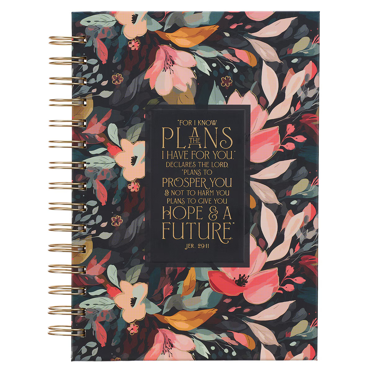 Inspirational Journal, Hope and a Future Wide Ruled Notebook, Jer. 29:11 Bible