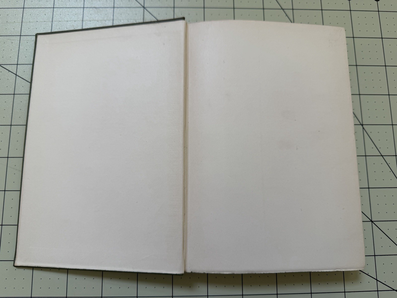 The Story of Canada Blackie by Anne P. L. Field 1915 FIRST EDITION (Sing Sing)