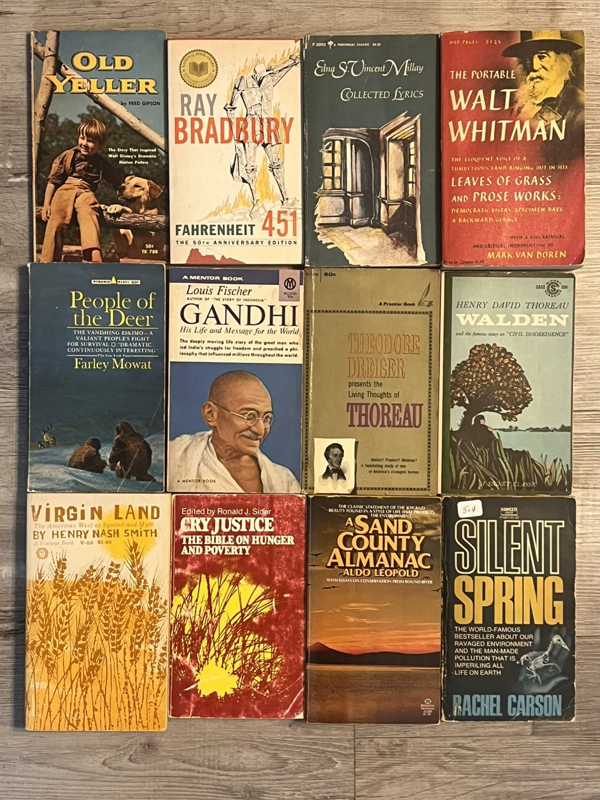 Vintage Classics Paperback Lot 12 Thoreau Ghandi Carson Leopold Whitman Millay
