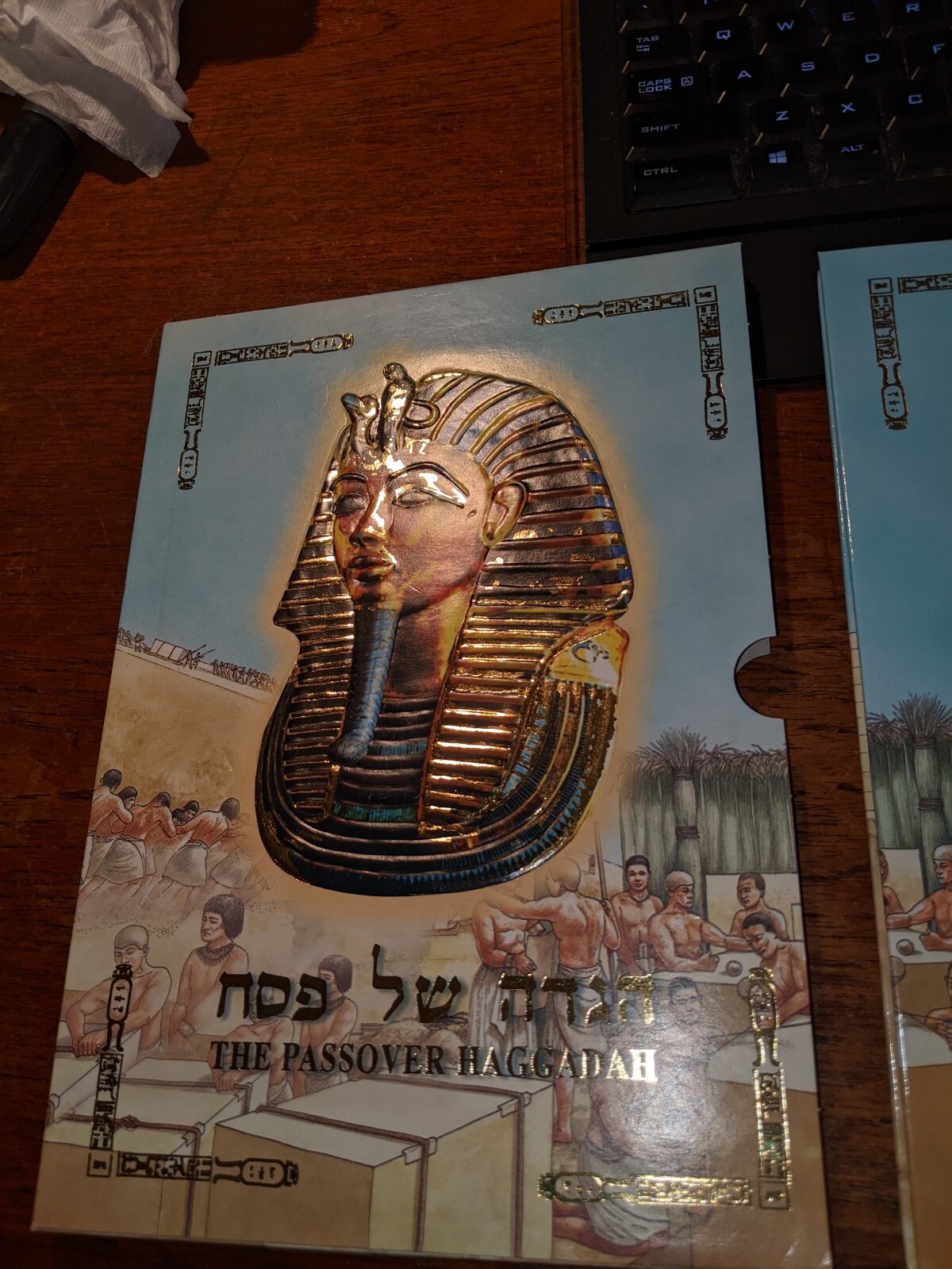 Palphot The Passover Haggadah Hardcover in Slipcase, NEW, Eng & Heb, Illustrated