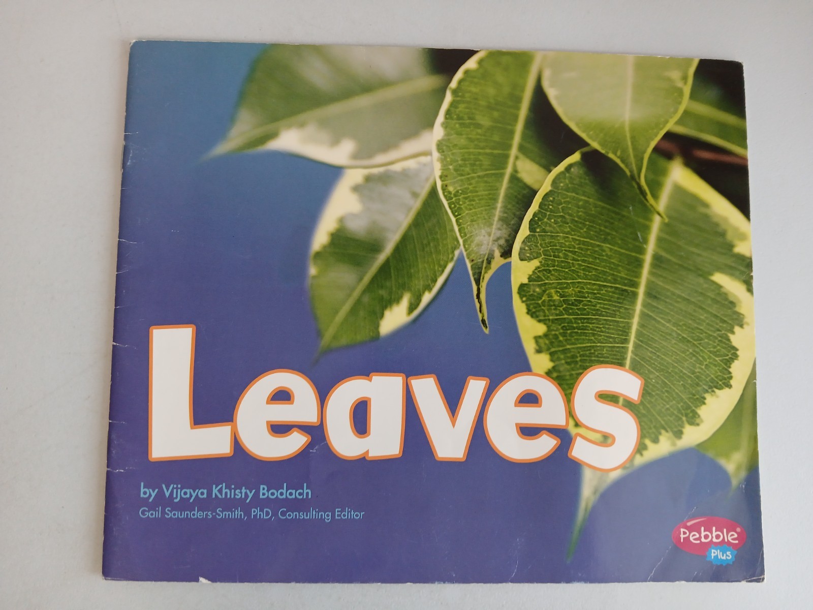 PEBBLE PLUS Plant Parts Series Bodach Picture Book Lot of 5 Homeschool ~ Used