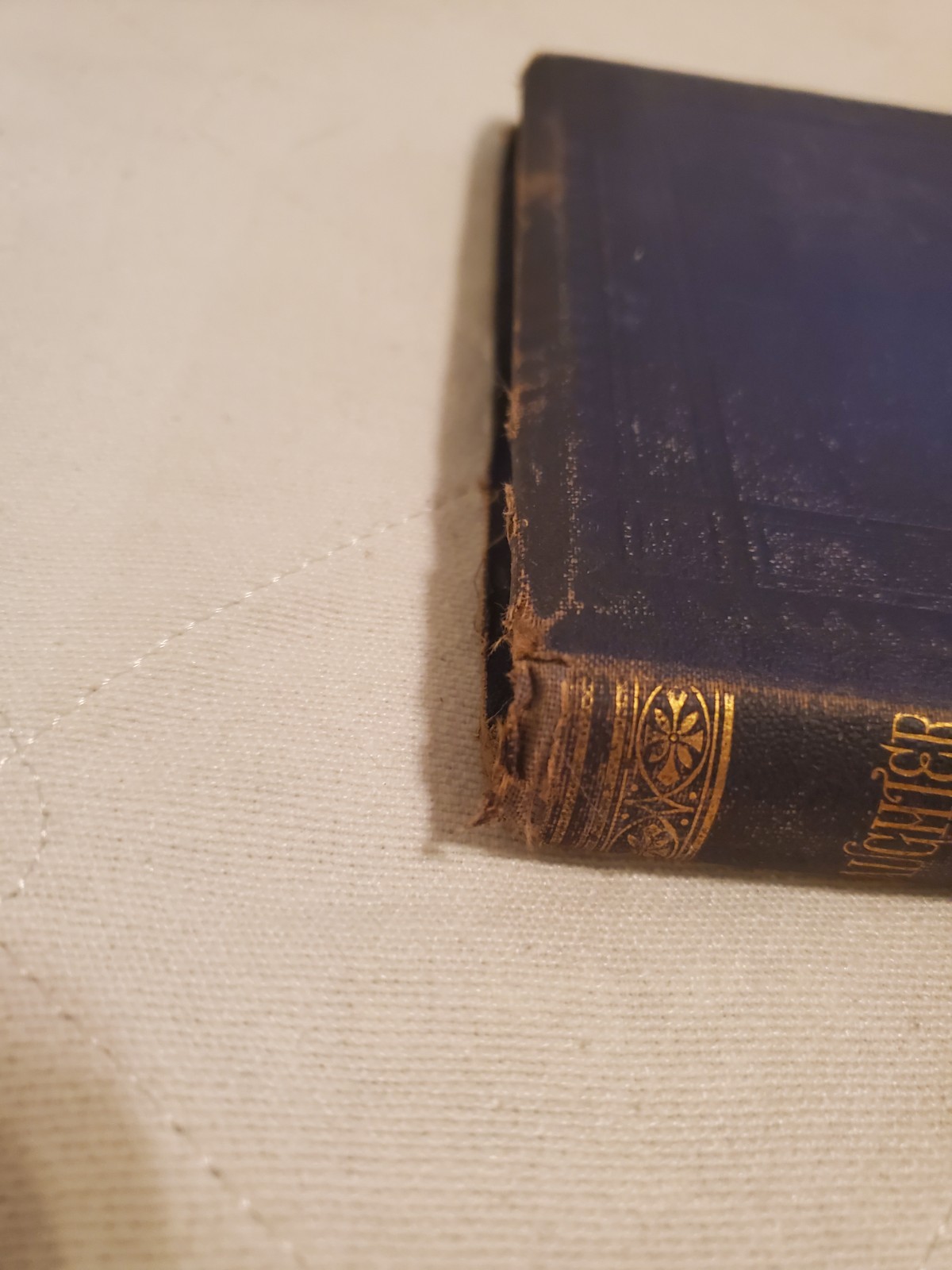 A Daughter of Bohemia Christian Reid 1874 A Novel Illustrated D. Appleton And Co