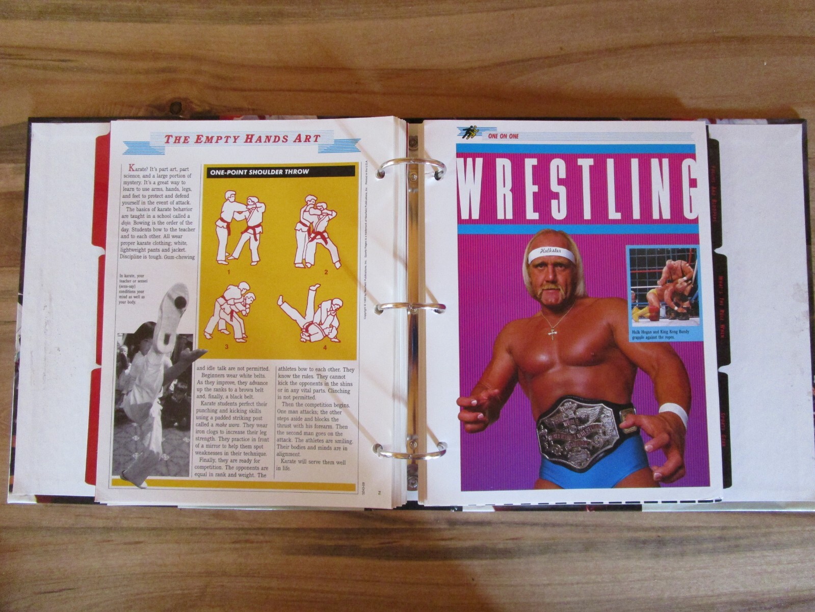 Sports Pages The Book for Fans 1996 Newfield, Binder, 10 Divider Tabs, 50 Pages