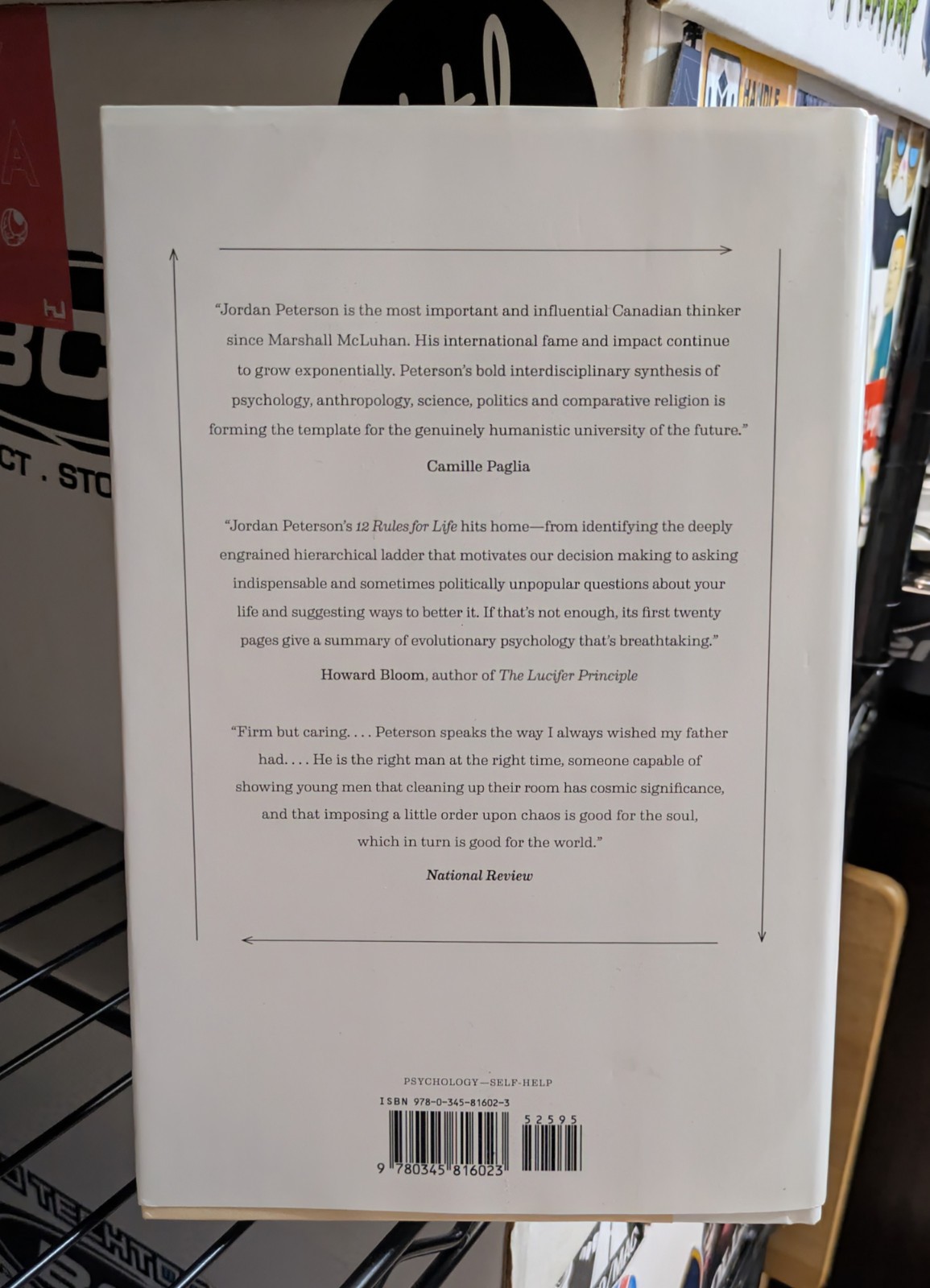 12 Rules for Life: An Antidote to Chaos by Jordan Peterson
