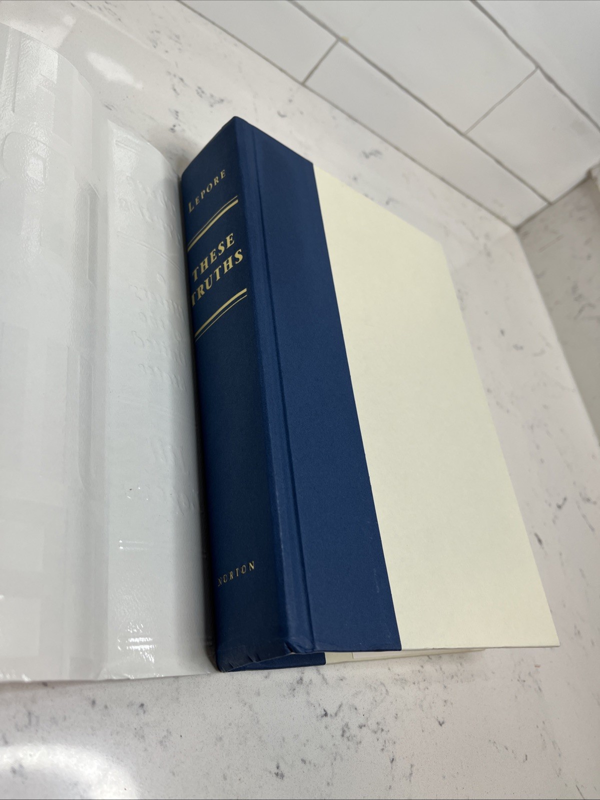 These Truths: A History of the United States – Hardcover