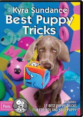 Kyra Sundance – Best Puppy Tricks