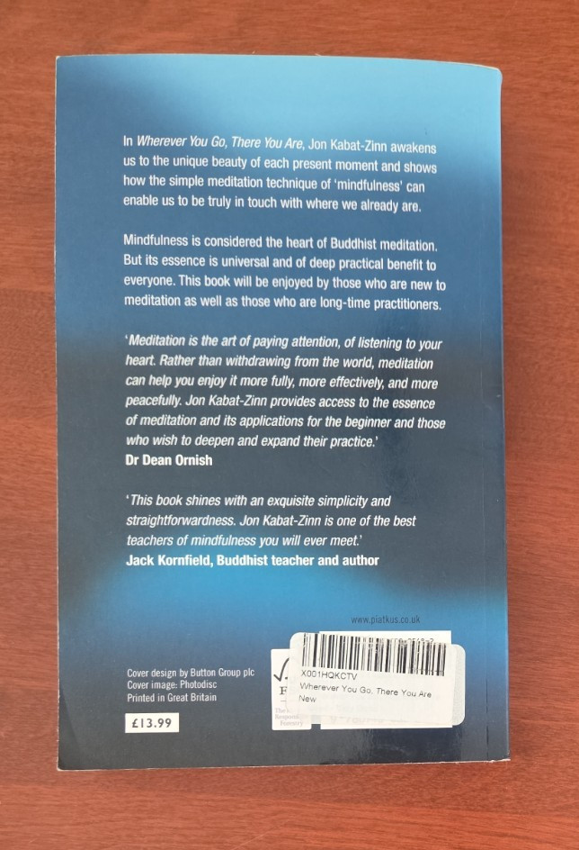 Wherever You Go, There You Are by Jon Kabat-Zinn – Paperback