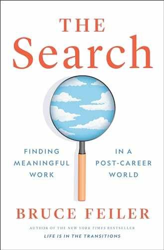 The Search: Finding Meaningful Work – Hardcover, by Feiler Bruce – Very Good u