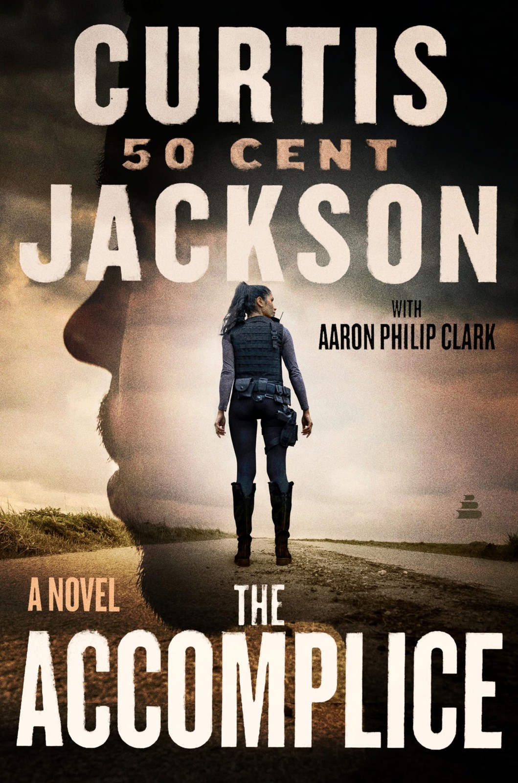 The Accomplice: A Page-Turning Suspense Novel with a Strong Female Lead and …