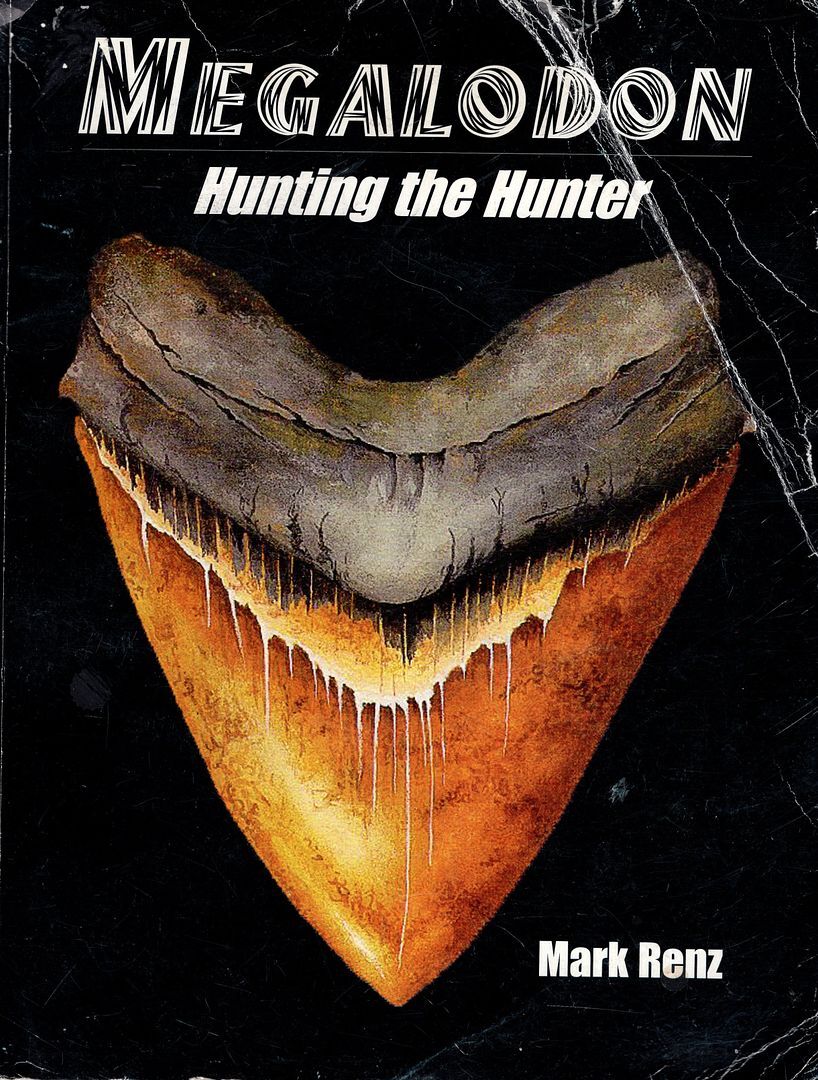 Megalodon: Hunting the Hunter Fossils
