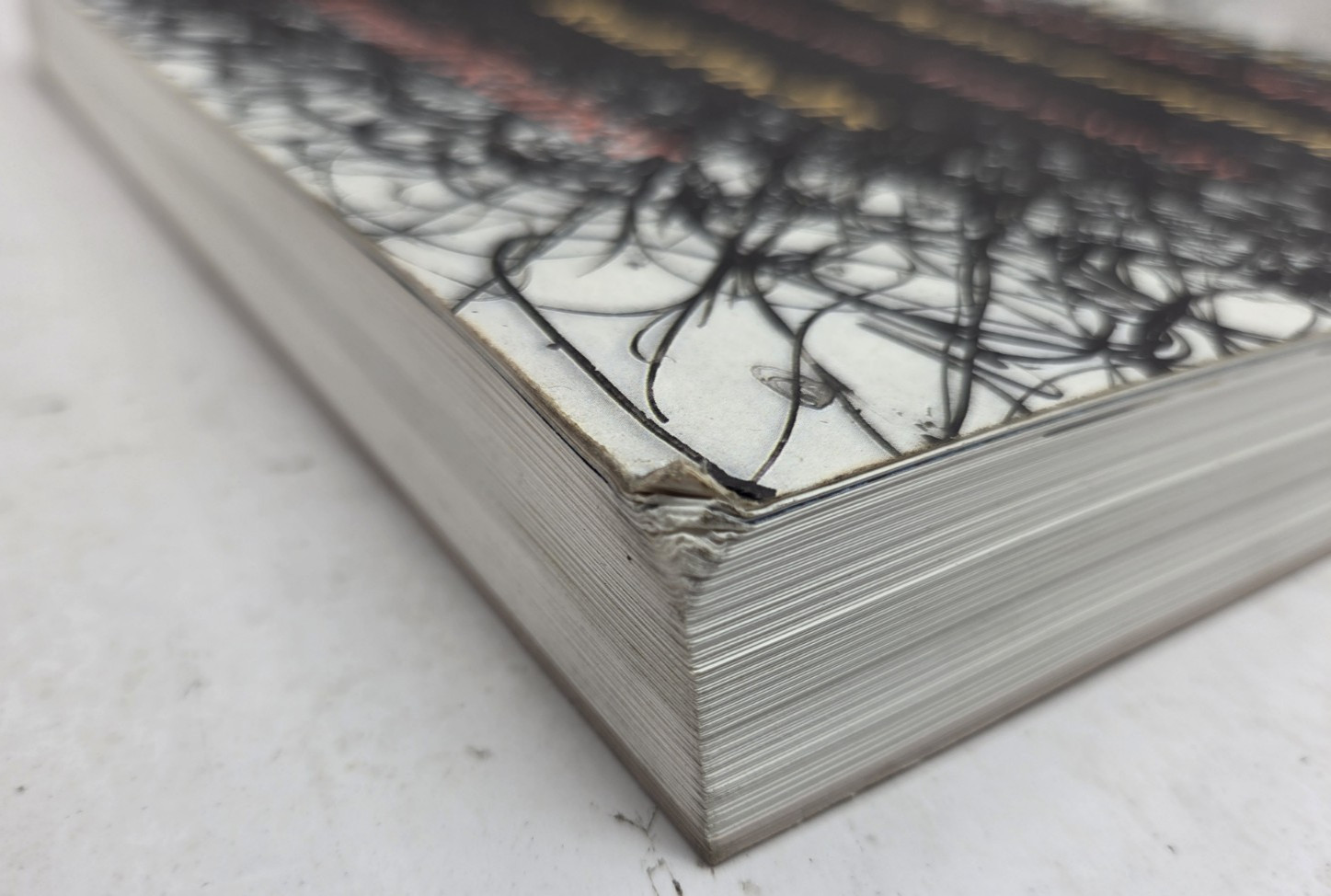 Arnulf Rainer: Even Before Language by Rudi Fuchs and Arnulf Rainer, PB 2000