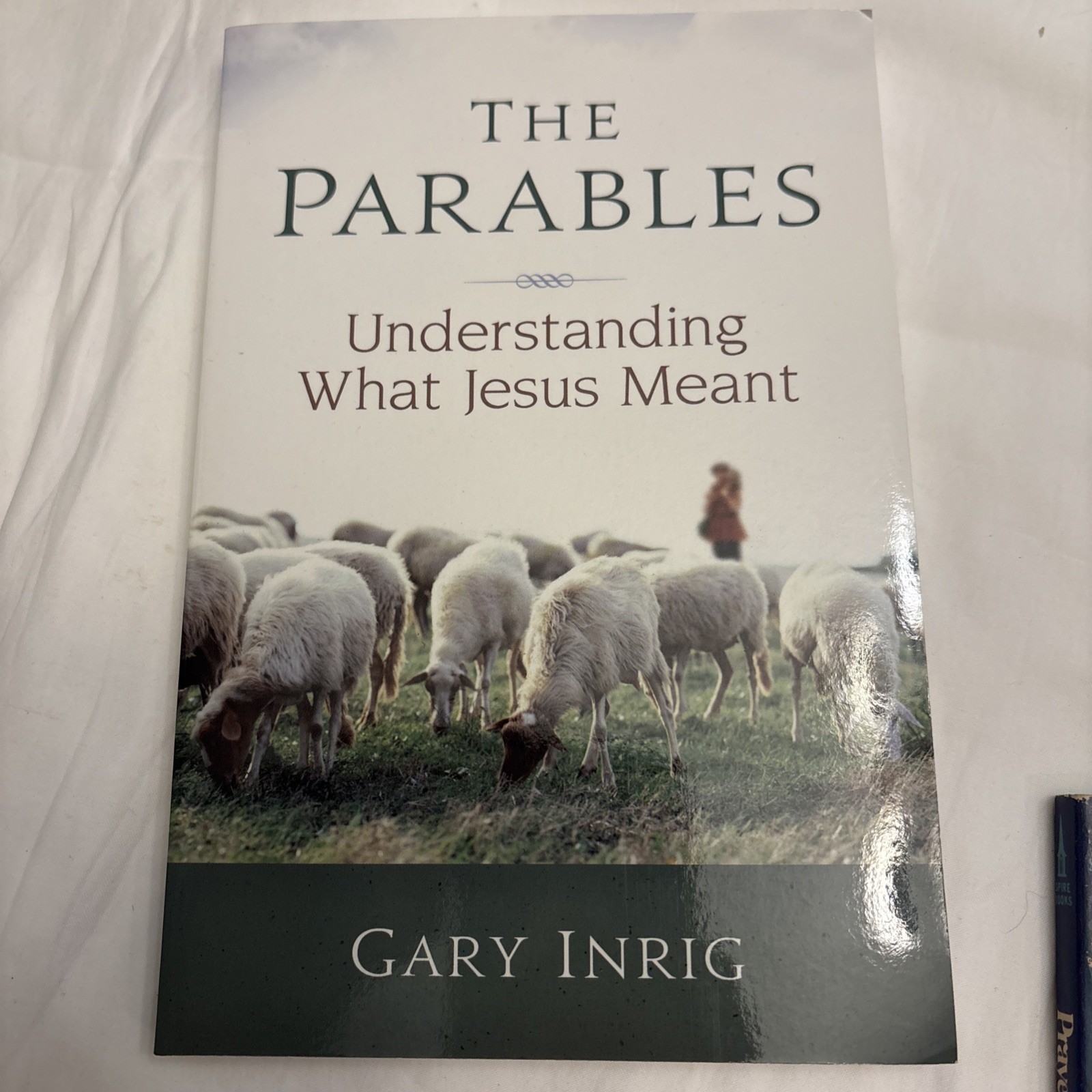 The Parables: Understanding What Jesus Meant – Paperback – VERY GOOD